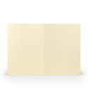 TARJETA A6 PAPERADO 5 UNIDADES CREMA