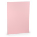 FOLIO A4 COLORETTI 10 UNIDADES ROSA