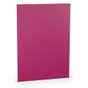 FOLIO A4 COLORETTI 10 UNIDADES MAGENTA