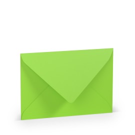 SOBRE C6 MINISTRO COLORETTI 5 UNIDADES VERDE LIMA 2
