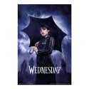 POSTER WEDNESDAY UMBRELLA