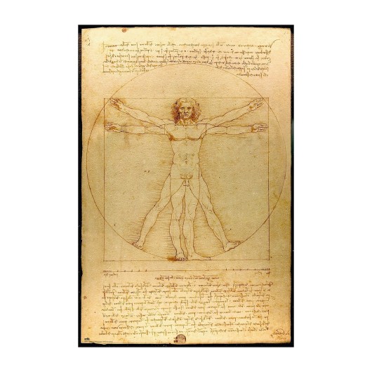 POSTER HOMBRE DE VITRUVIO