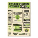 POSTER BEETLEJUICE 2
