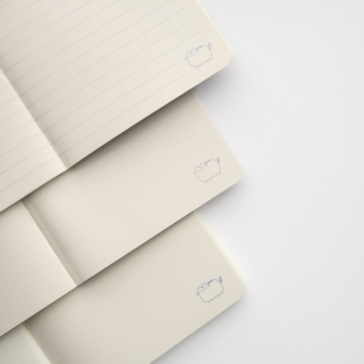 PACK 3 CUADERNOS A6 PUSHEEN MOMENTS