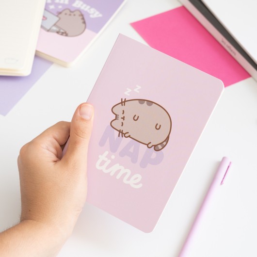 PACK 3 CUADERNOS A6 PUSHEEN MOMENTS