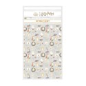 SET DE PAPEL DE REGALO HARRY POTTER