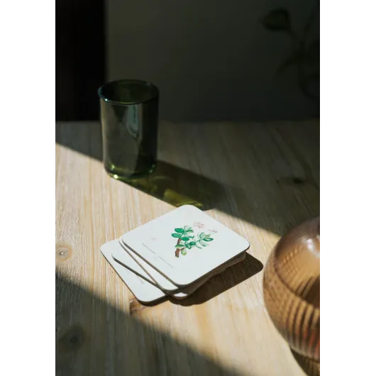 SET 4 POSAVASOS BOTANICAL CACTI