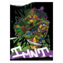 SET MINIPOSTERS TORTUGAS NINJA