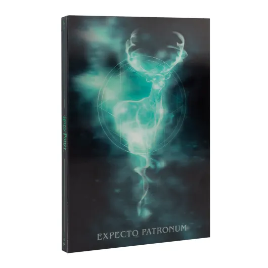 CUADERNO LENTICULAR A5 HARRY POTTER