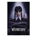 POSTER WEDNESDAY T2 2