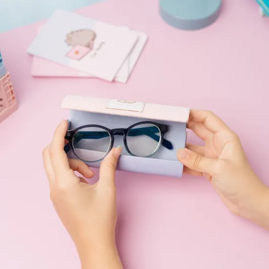 FUNDA DE GAFAS PUSHEEN