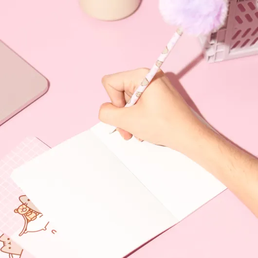 SET 10 BOLIGRAFOS CON POMPON PUSHEEN MOMENTS