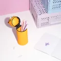 ESTUCHE 3D GARFIELD