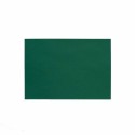 PACK 10 HOJAS A4 FOLDER VERDE OSCURO