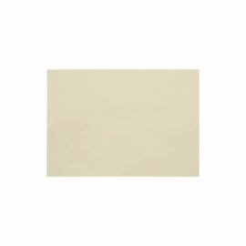 PACK 10 HOJAS A4 FOLDER MARRON ARENA