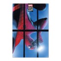 POSTER MARVEL SPIDERMAN 80 YEARS