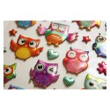 PEGATINAS TWEENY FOAMY BUHOS BRILLO