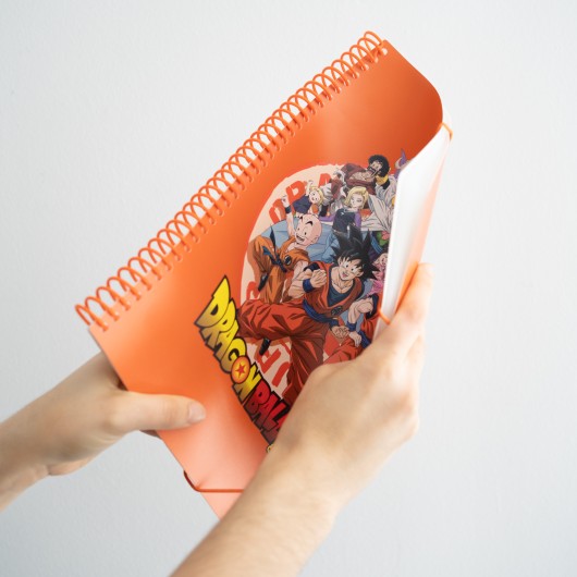 CARPETA DE FUNDAS A4 DRAGON BALL