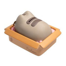 HUCHA PUSHEEN 2