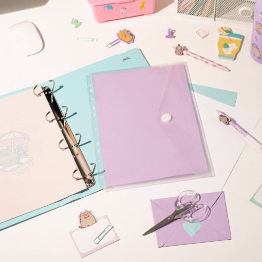 CARPETA 4 ANILLAS POLIPROPILENO PUSHEEN