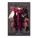 POSTER HARRY POTTER WIZARD DYNASTY HARRY POTTER