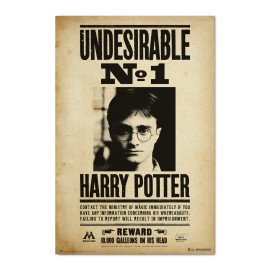POSTER HARRY POTTER UNDESIRABLE N1