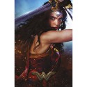 POSTER WONDER WOMAN SWORD-DCORG