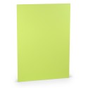FOLIO A4 PAPERADO 10 UNIDADES VERDE LIMA