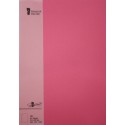 FOLIO A4 PAPERADO 10 UNIDADES FUCSIA