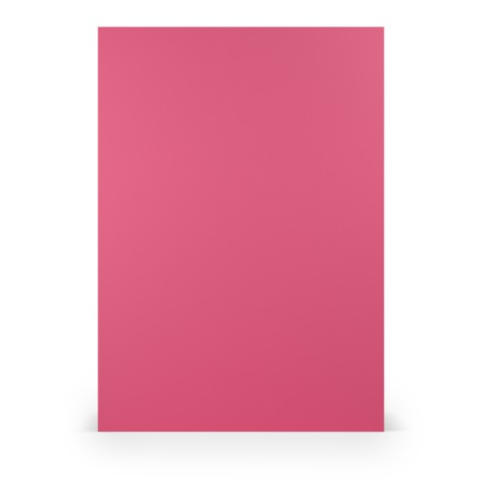 FOLIO A4 COLORETTI 10 UNIDADES FUCSIA