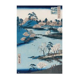 POSTER CHERRI BLOSSOM NEAR THE HACHIMAN SHRINE
