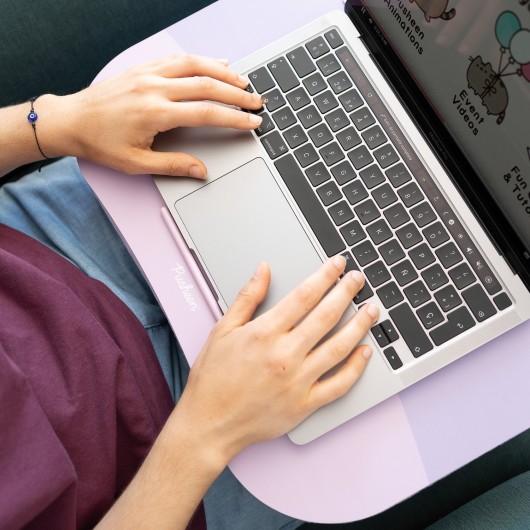 SUPPORT COUSSIN ORDINATEUR PORTABLE PUSHEEN MOMENTS