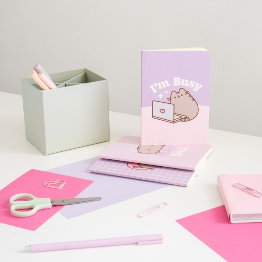 PACK 3 CARNETS A6 PUSHEEN MOMENTS