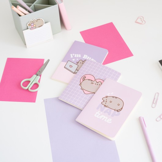 PACK 3 CARNETS A6 PUSHEEN MOMENTS
