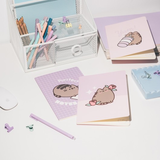 PACK 3 CARNETS A5 PUSHEEN MOMENTS