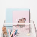 PACK 3 CARNETS A5 PUSHEEN MOMENTS
