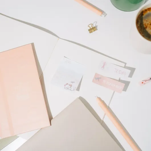 PLANIFICATEUR HEBDOMADAIRE AVEC NOTES ADHÉSIVES DISNEY BONJOUR MARIE