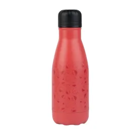 BOUTEILLE MÉTALLIQUE ISOTHERME HOT&COLD 260ML RUE SESAME 2