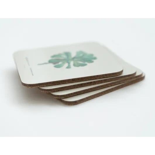 SET 4 DESSOUS DE VERRE BOTANICAL CACTI