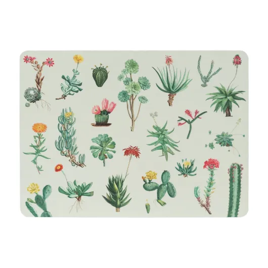 SET 4 SET DE TABLE BOTANICAL CACTI