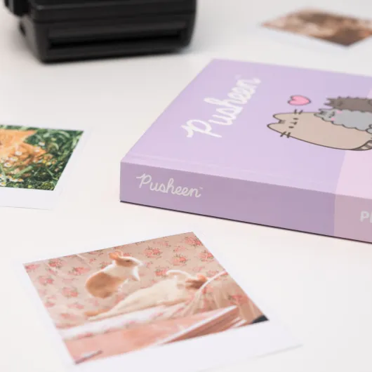 ALBUM PHOTO 16X16 CM 24 PAGES ADHESIVES PUSHEEN MOMENTS