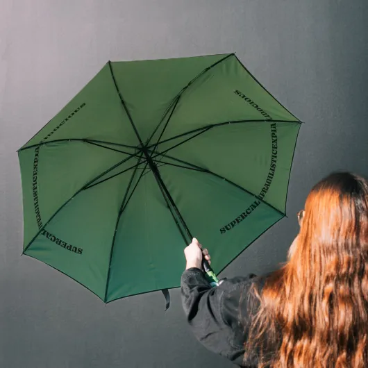 PARAPLUIE PREMIUM DISNEY MARY POPPINS