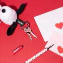 PORTE CLES SNOOPY LOVE SEASON