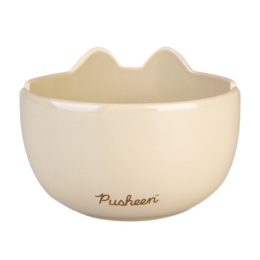 BOL A RAMEN PUSHEEN