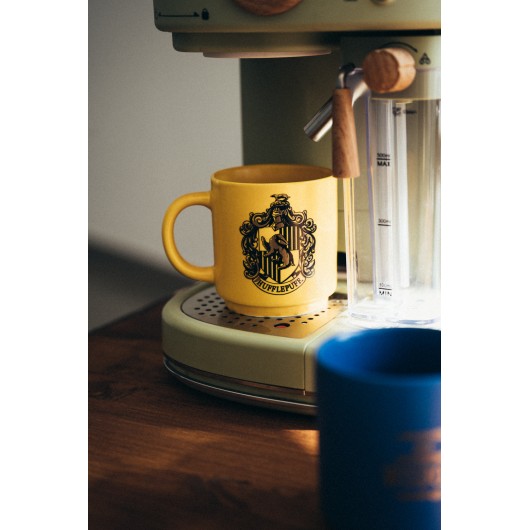 SET DE 4 TASSES HARRY POTTER