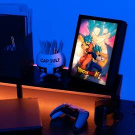 PRINT RÉTROÉCLAIRÉ DRAGON BALL 2