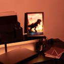 ILLUSTRATION LED ENCADRÉE JURASSIC PARK