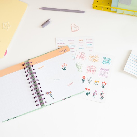 AGENDA SCOLAIRE 2026/2027 JOURNALIER M 11 MOIS AMELIE