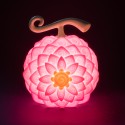 LAMPE ONE PIECE NETFLIX FRUIT DES ECLOSIONS