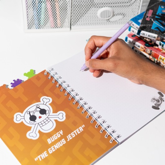 CARNET DE PROJET ONE PIECE